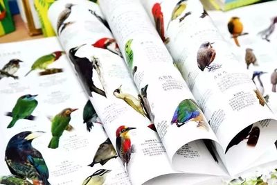 【一天就售罄!】无数好评~全球销量超过了40万册,5000多物种,623页的DK博物大百科